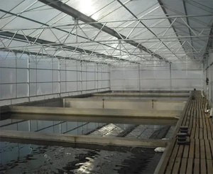 水产品温室大棚